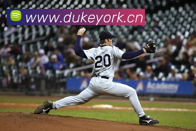 巅峰国标pg官网平台生态图